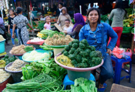 Sea Trek indo market stall