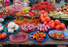 Sea Trek market indo
