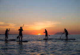 Sea Trek paddle board