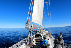 Sea dragon sailing under way on deck in sunny waters crossing