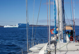 Sea dragon sailing yacht view on deck of icebergs Arctic greenland