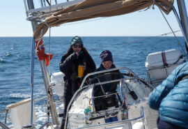 Sea dragon sailors onboard female guests at helm
