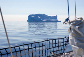 Sea dragon view from deck of iceberg in Arctic Greenland