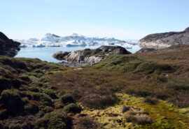 Sea dragon view from shore of Ilulissat Icefjord, Arctic