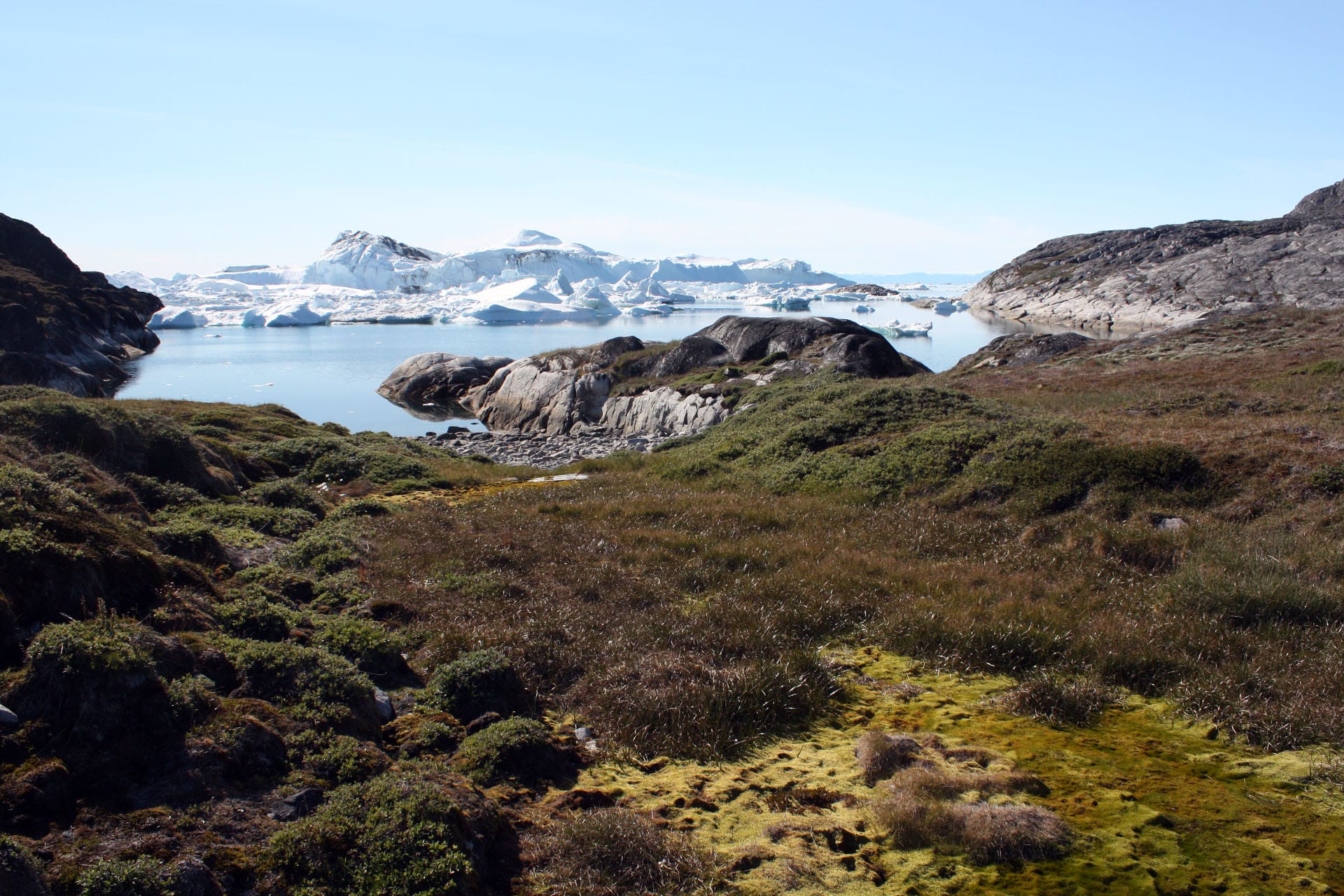 Sea dragon view from shore of Ilulissat Icefjord, Arctic