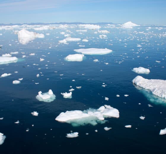 Sea dragon view of icy waters in Ilulissat Icefjord, Greenland, Arctic