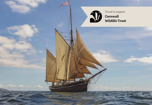 Tall Ship Sailing with Cornwall Wildlife Trust