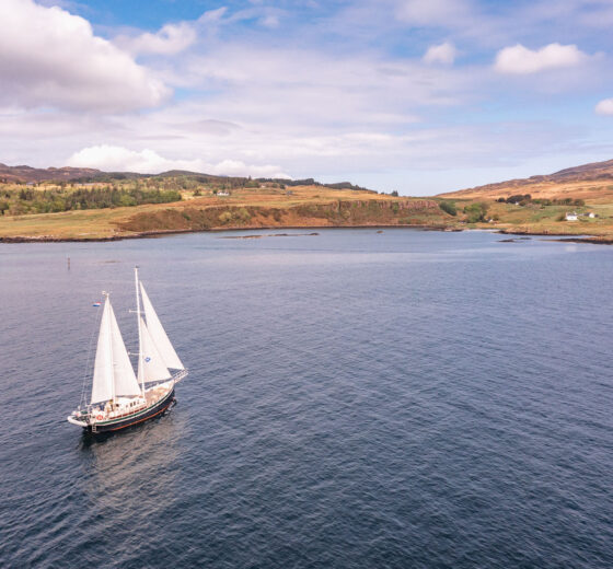 Steady Eigg Sailing