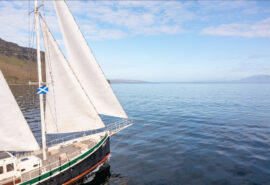 Steady Eigg bows