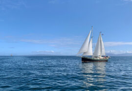 Steady Sailing Small Isles