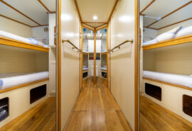 Steady fore cabins