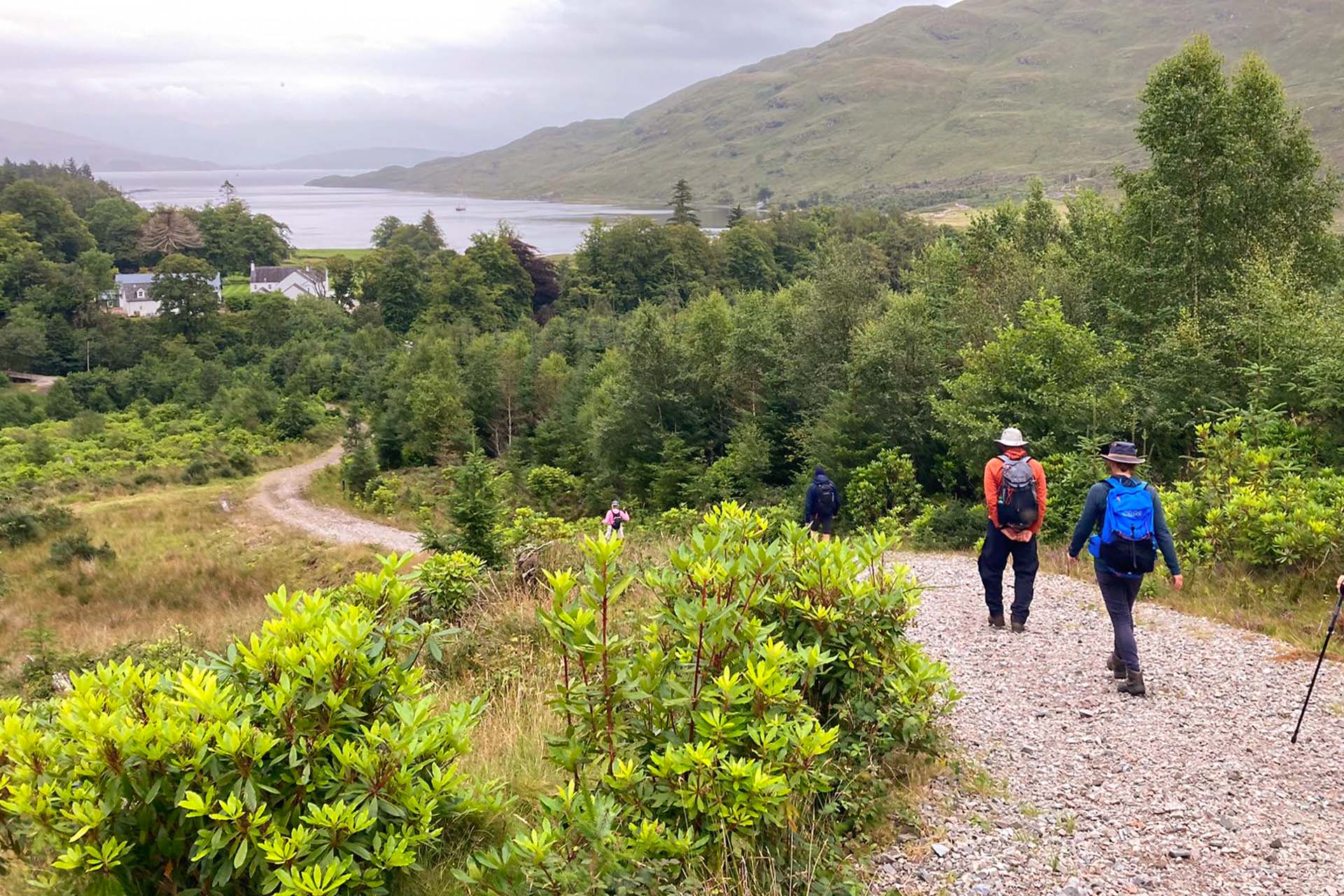 Steady guests hiking in Scotland, Great Glen Way
