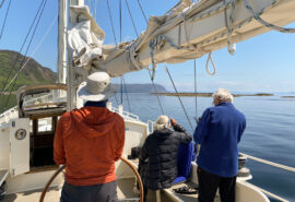 Steady guests on deck at helm watching wildlife Scotland Hebrides