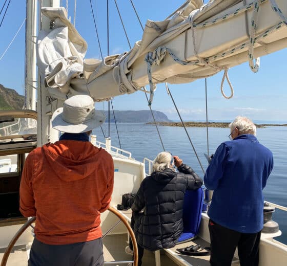 Steady guests on deck at helm watching wildlife Scotland Hebrides