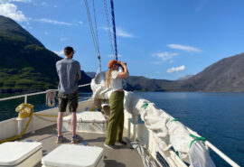 Steady guests on deck watching wildlife Hebrides, Scotland