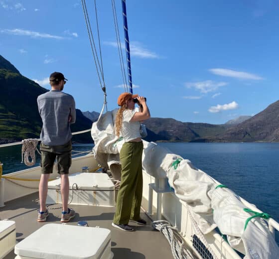 Steady guests on deck watching wildlife Hebrides, Scotland