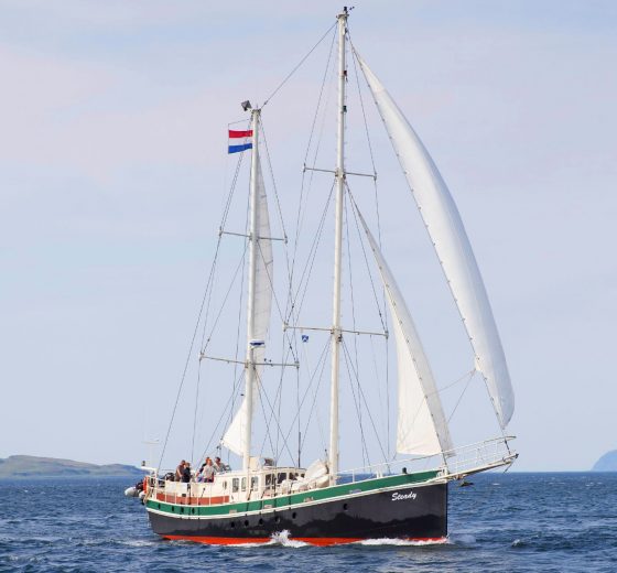 Steady sailing scotland