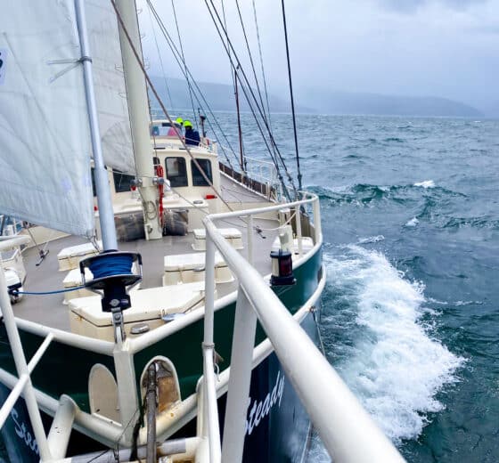 Steady yacht sailing from bow
