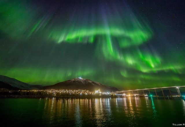 Whale watching & Northern Light Sailing in Norway