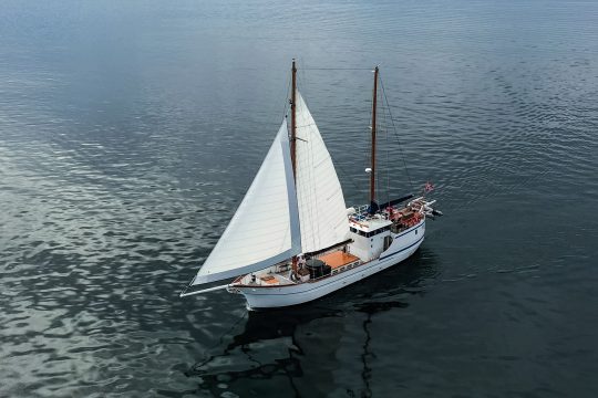 Stella Oceana sails up