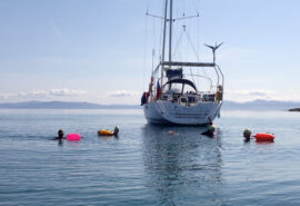 Stravaigin stern swimming
