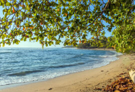 Sunny beach in Costa Rica, tropical Islands