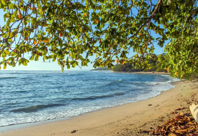 Sunny beach in Costa Rica, tropical Islands