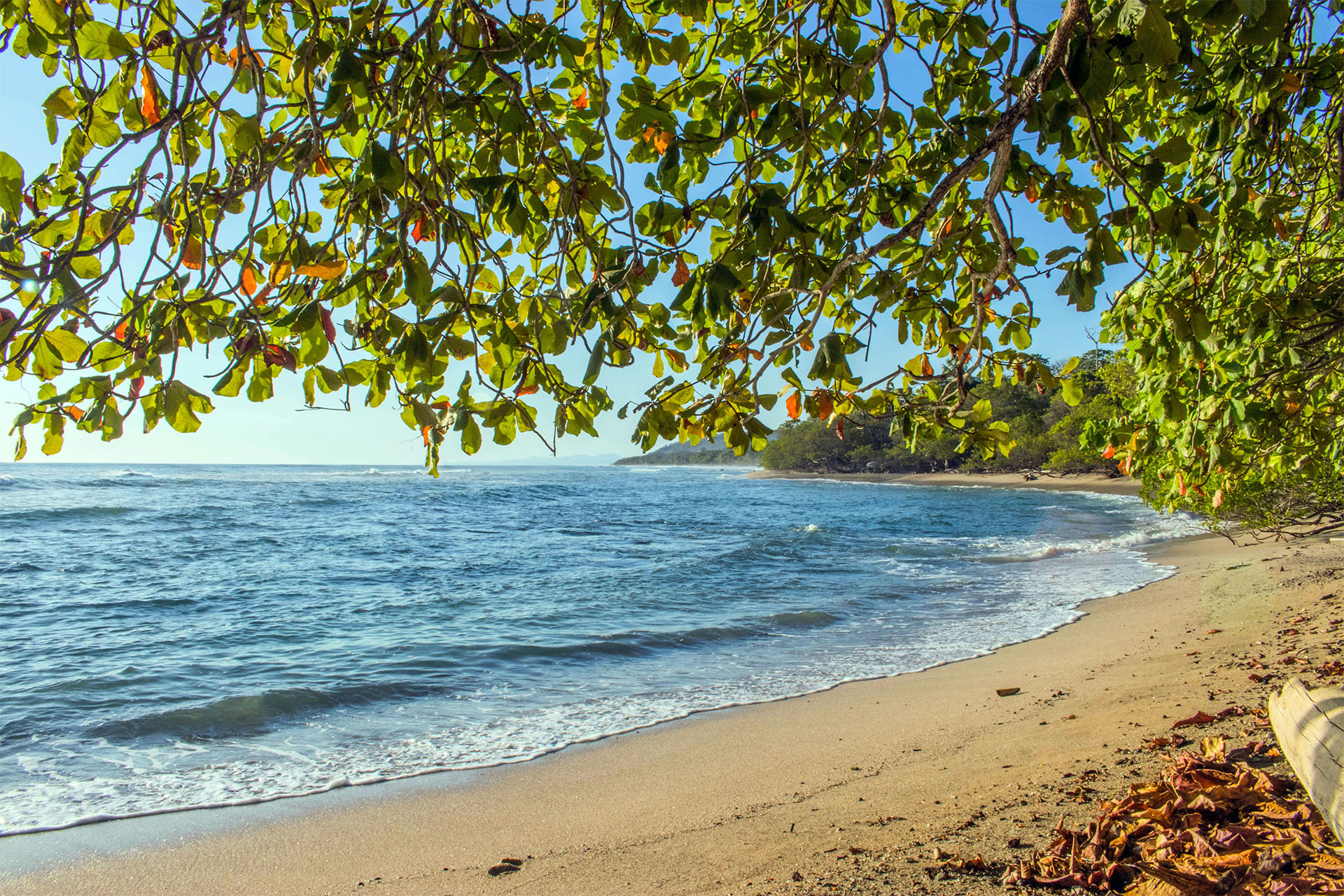 Sunny beach in Costa Rica, tropical Islands
