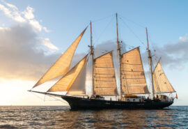 Tall ship Blue Clipper sailing in the sunshine open ocean
