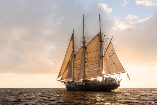 Tall ship Blue Clipper sunset sailing
