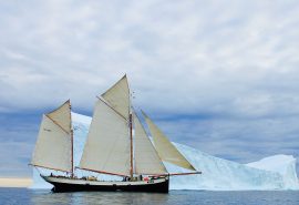 Tecla sailing adventures Antarctica Ice berg