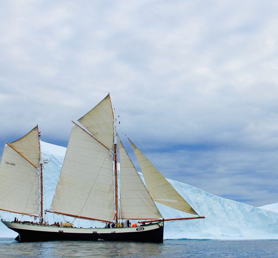 Tecla sailing adventures Antarctica Ice berg