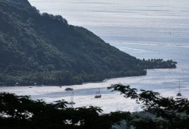 Tecla French Polynesia Le Gambier