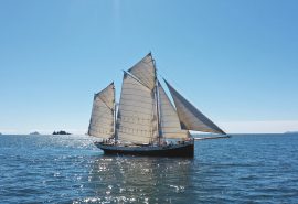 Tecla Full Sails on the water