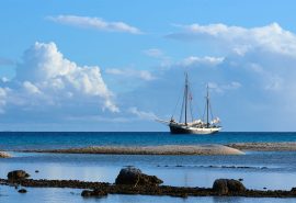 Tecla Tuomotu islands French Polynesia