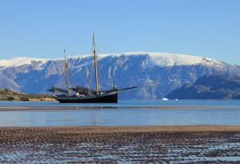 Tecla anchored
