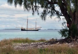 Tecla anchored Tuamotu island French Polynesia Pacific