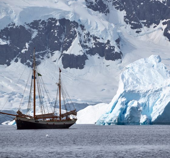 Tecla anchored with iceberg Portal Point Antarctica
