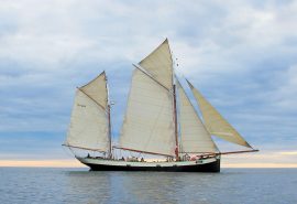 Tecla classic ship full sail header