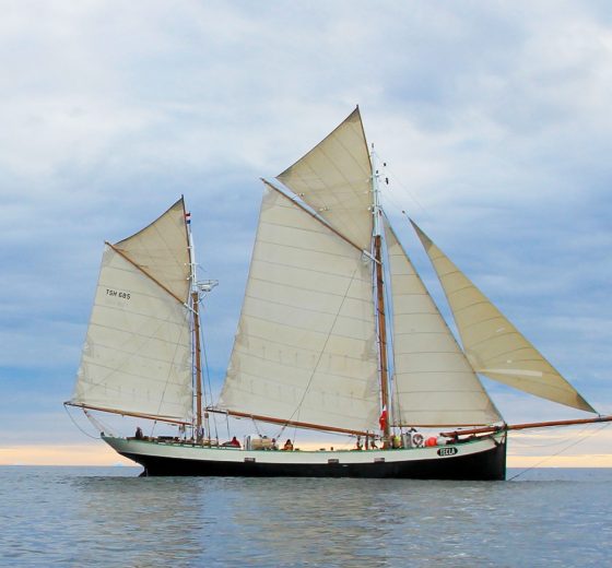 Tecla classic ship full sail header