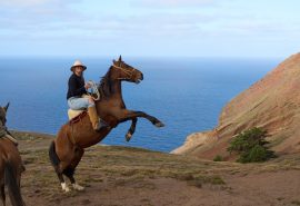 Tecla guest horseback riding Juan Fernandez Chile