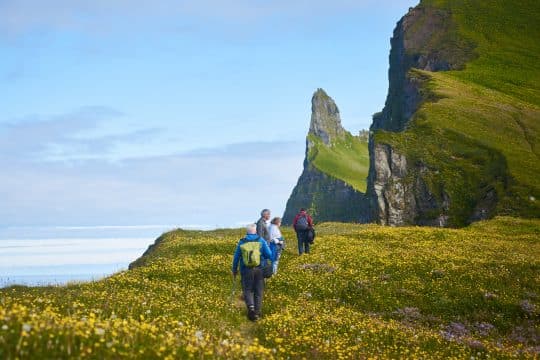 Tecla guests hiking in Hornbjarg Iceland summer