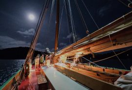 Tecla guests moonlight