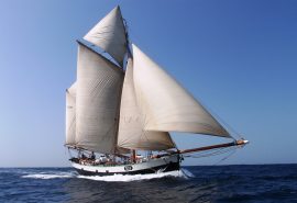 Tecla under full sail in blue sky