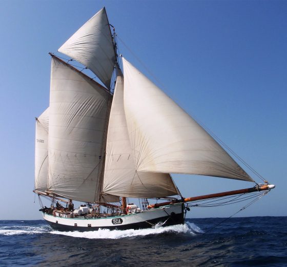 Tecla under full sail in blue sky
