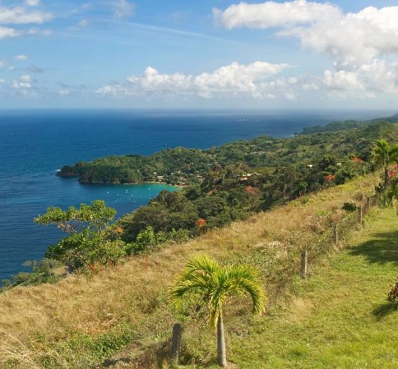 sailing holidays Tobago-island-Castara-bay