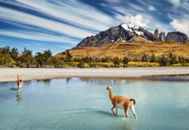 Torres del Paine National Park, Patagonia, Chile