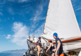 Twister guests onboard pulling ropes sailing