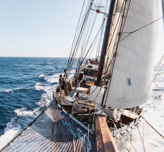 Twister schooner underway from bowsprit sailing