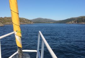 Zuza in the Hebrides